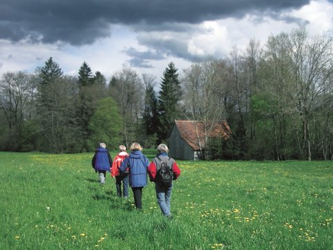 Eine Gruppe Personen gehen über eine grüne Wiese in Richtung Wald