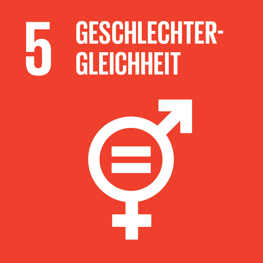 IconAttribute/SDG-icon-DE-05.jpg