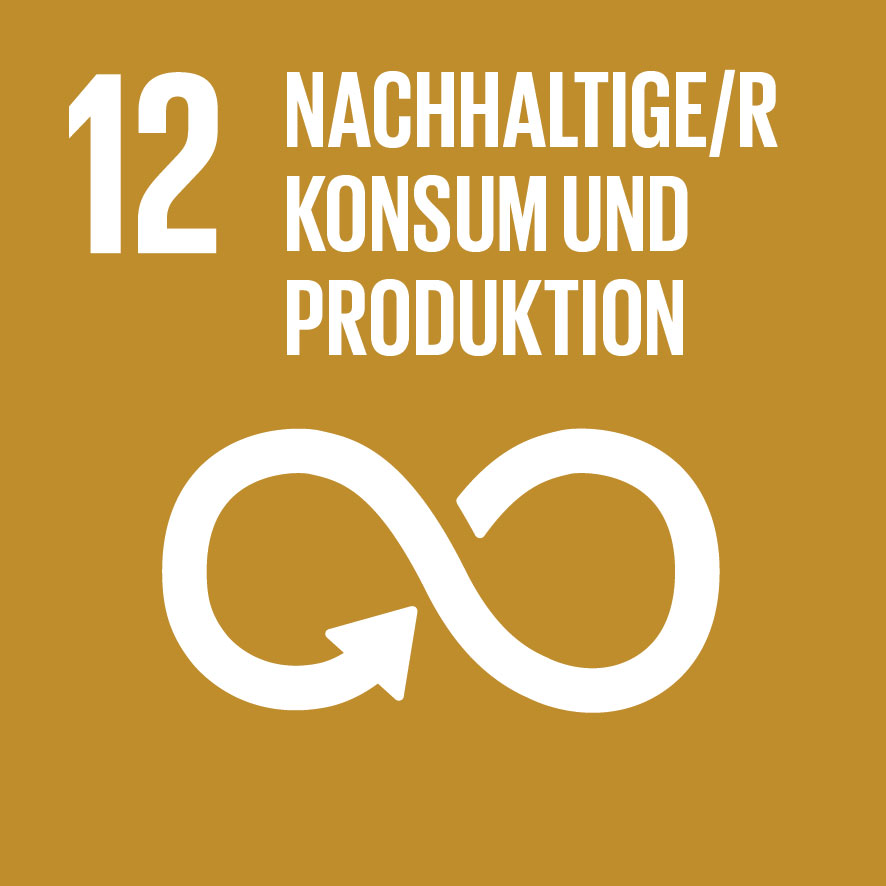 IconAttribute/SDG-icon-DE-12.jpg