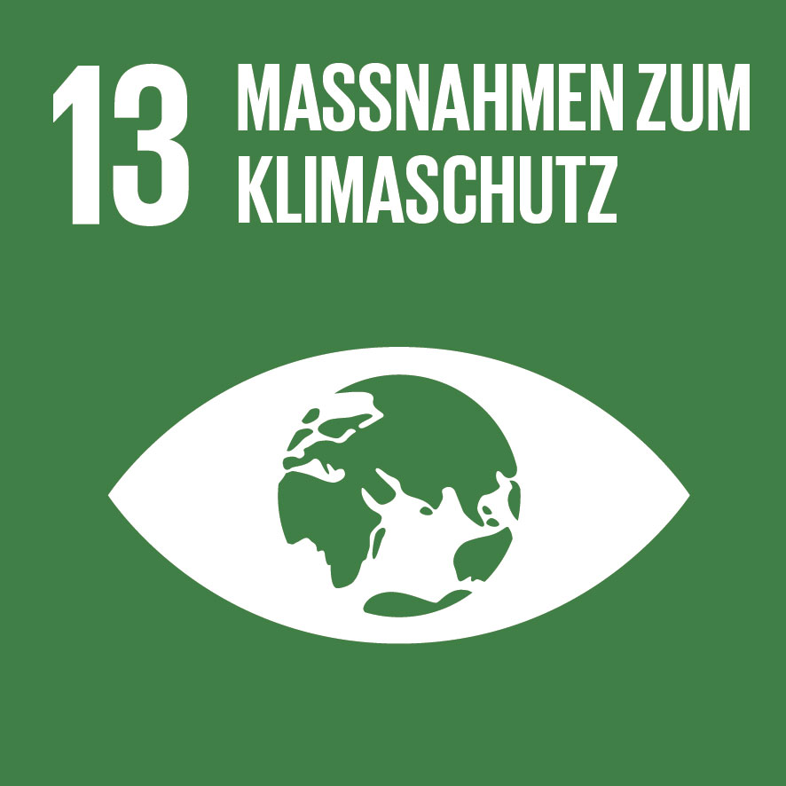 IconAttribute/SDG-icon-DE-13.jpg