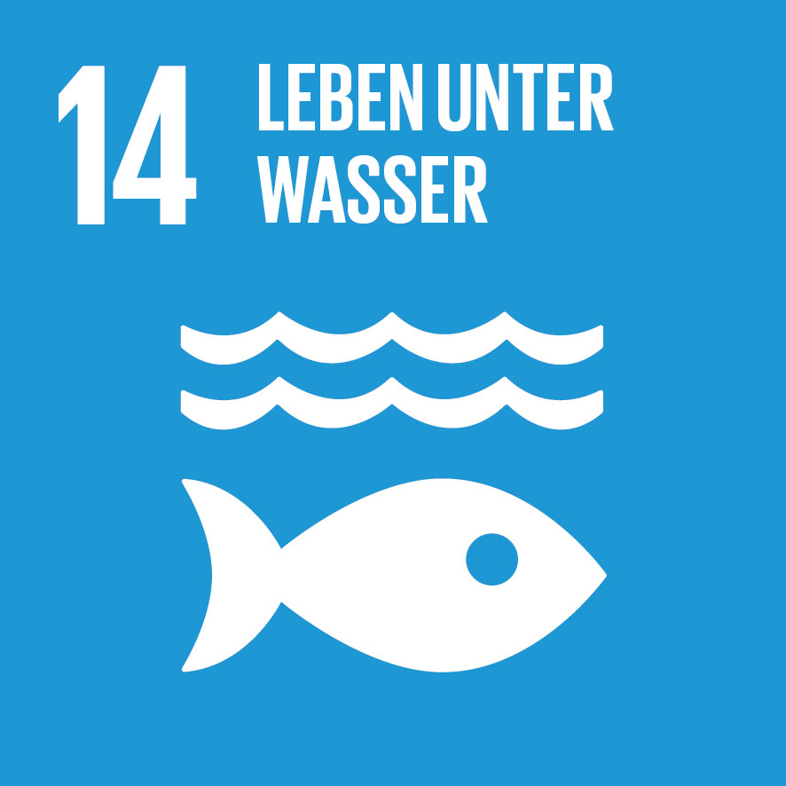 IconAttribute/SDG-icon-DE-14.jpg