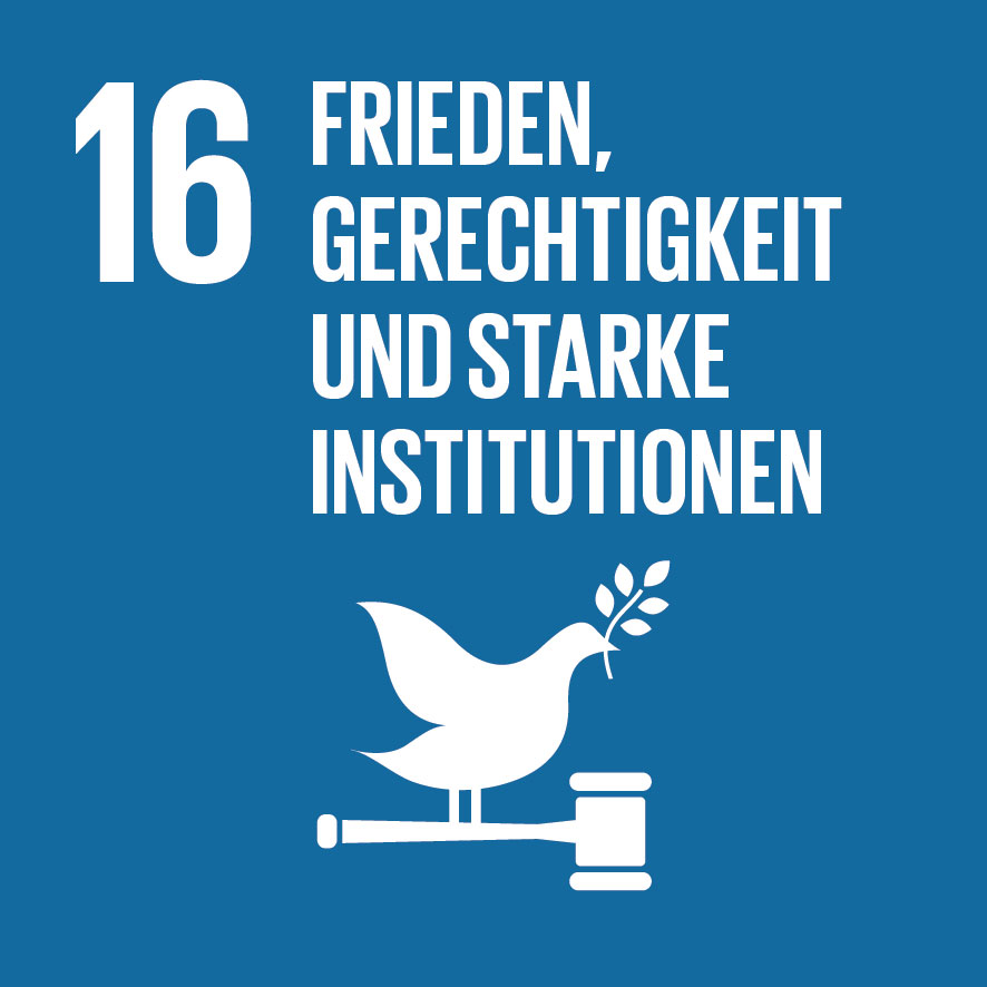 IconAttribute/SDG-icon-DE-16.jpg