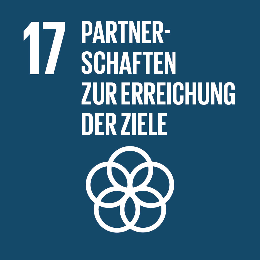 IconAttribute/SDG-icon-DE-17.jpg
