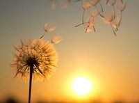 Der liebe Gott hat mich vergessen