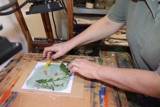 164011 Cyanotypiekurs am  Wochenende