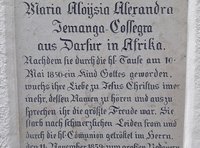 Dreißig afrikanische Mädchen im Königreich Bayern