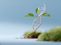 Leben - eine Entdeckungsreise