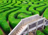 Mit 10 Maßnahmen Demenz vorbeugen