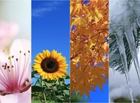 Erinnerungen in den Jahreszeiten unseres Lebens