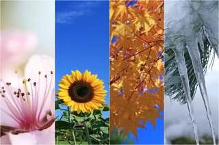 165606 Biografiearbeit mit älteren Menschen