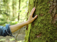 Waldbaden - Frühling im Englischen Garten