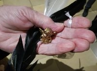 Führungen für Menschen mit demenziellen Veränderungen