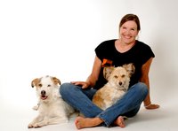 Auf den Hund gekommen