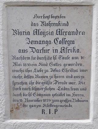 165196 Katholische Missionsbegeisterung im 19. Jahrhundert und ihre Folgen