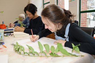 165287 Die Welt der Botanik in der Zeichnung