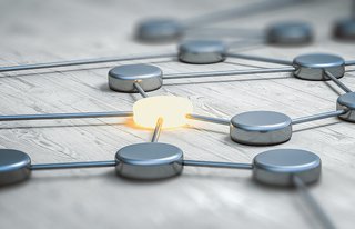 165257Kolb Verbindungen verstehen - komplexe Systeme in Natur und Gesellschaft