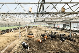 166717 Führung durch die Ausstellung