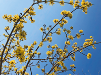 MBSR - Stressbewältigung durch Achtsamkeit