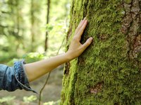 Waldbaden - Frühling im Englischen Garten