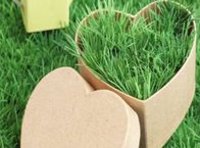 APL-Aufbaukurs „Konstruktive Konfliktbewältigung 2026“