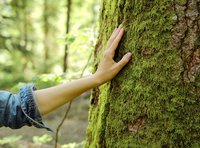 Waldbaden - Frühling im Englischen Garten