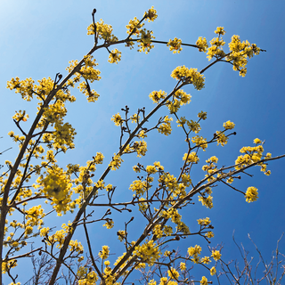 165739 MBSR-8-Wochen Kurs in Trudering