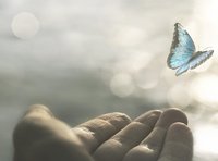 Ein gutes Ende (Gesamtkurs)