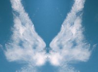 Sterbenden Menschen Zeit schenken - Erspüren, was es bedarf