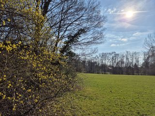 167638 Ein ökologisch-spiritueller Spaziergang