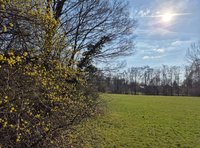 Der Ostpark