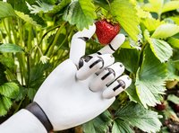 Einsatz der Robotik in der Altenpflege