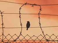 Zwischen Schutzverantwortung und Abschottung – das neue GEAS